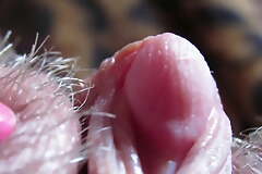 experimental close-up clitoris