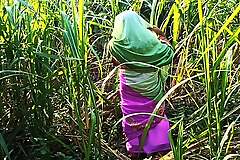 Husband's friend went to meet the new daughter-in-law in the sugarcane field.  Daughter-in-law was to fuck hard by a friend..