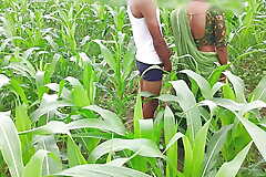 Bhabhi ko devar ka kala mota lund aaya lisand, corn field me bhabhi ki chudai outdoor Hindi audio