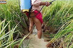 village nomita Spray on rice plants Bengali audio dirty