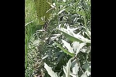 Indian Telugu hot 🔥 aunty faking hor agriculture owner for money