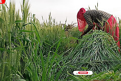 Indian Desi tight video, Desi beautiful girl first time ace fuck video, Desi video By -Snapchat143