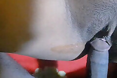 I fucked my new sister-in-law when she was alone.